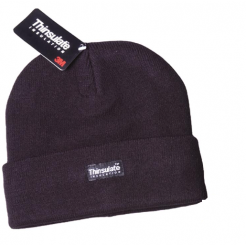 Thinsulate Thermal Hat - Black