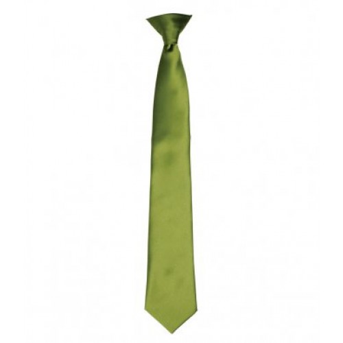 PR755 - Satin Fashion Clip Tie | OASIS GREEN