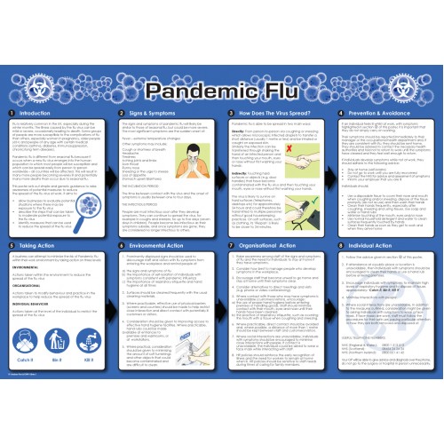 Pandemic Flu Poster 594x420mm | 594x420 |  Miscellaneous