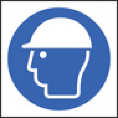100 S/A Labels 50x50mm Safety Helmet