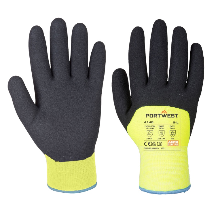 Arctic Winter Gloves