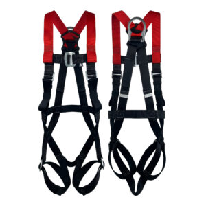 Standard Buckle 2 Point Harness